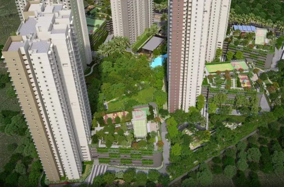 Alembic Cloud Forest, Whitefield