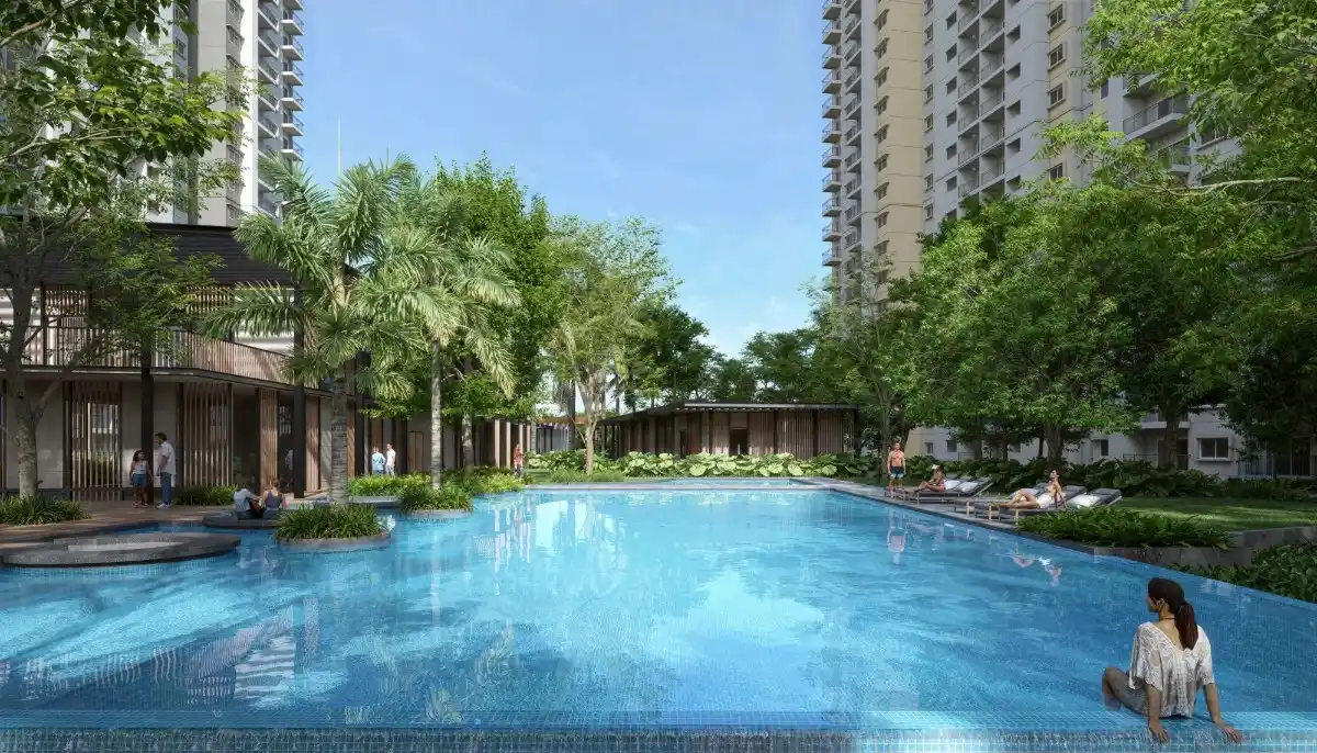 Amenity area
